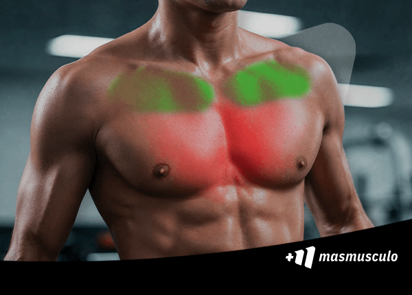 Los 4 mejores ejercicios para el pectoral superior.