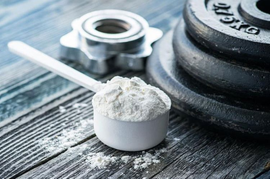 Las mejores creatinas para tus entrenamientos