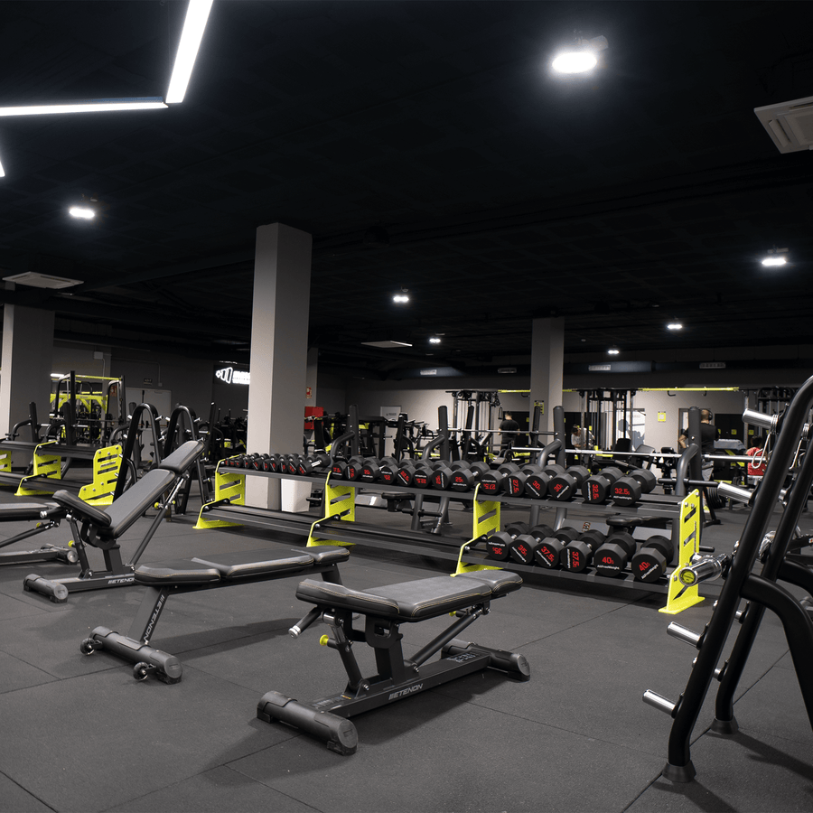 Fitness and Body Aesthetics