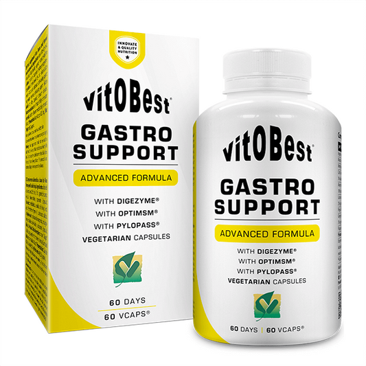Gastro Support by Vitobest from the brand VitOBest in Digestives