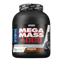 Mega Mass 4000 by Weider