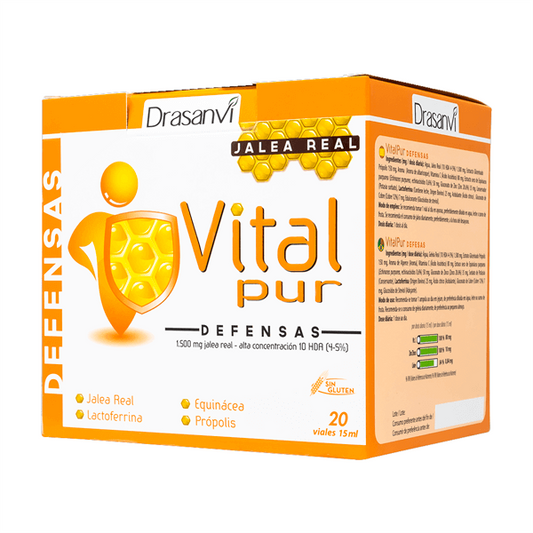 Vitalpur Defenses by Drasanvi from the brand Drasanvi in Drasanvi