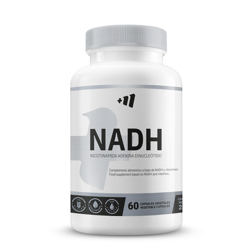 NADH Panmol® 100mg from Masmusculo Supplements - Masmusculo Supplements 0