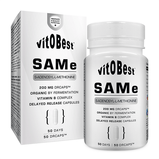 Vitobest SAMe 200mg from the brand VitOBest in Liver Protectors