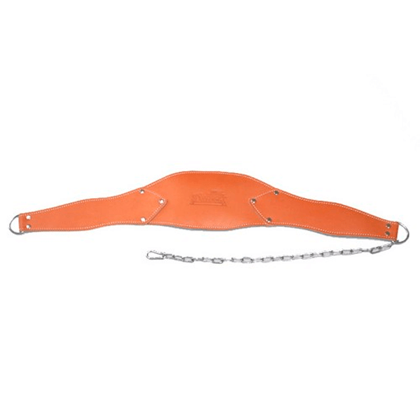 Leather Chain Belt (for weights) by Schiek - Schiek 0