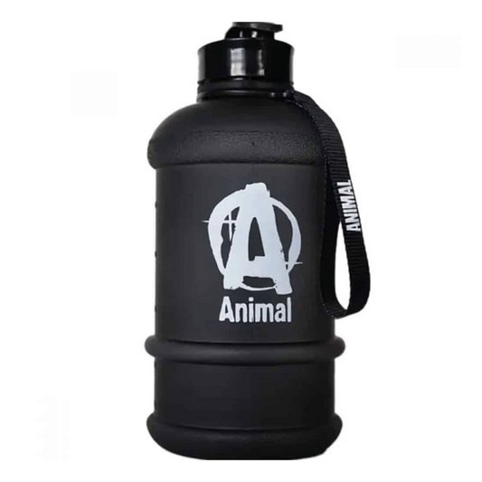 Bottle by Animal from the brand Animal in Animal