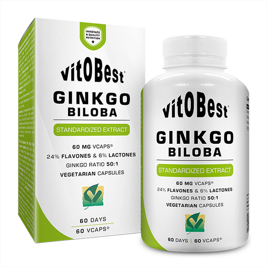 Vitobest Ginkgo Biloba from the brand VitOBest in Circulatory System