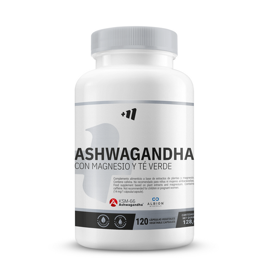 Masmusculo Ashwagandha KSM-666® with Albion® Magnesium and Green Tea from the brand Masmusculo Supplements in ROOT