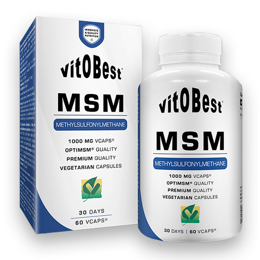 MSM 1000mg from Vitobest from the brand VitOBest in Joint Care