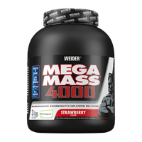 Mega Mass 4000 by Weider