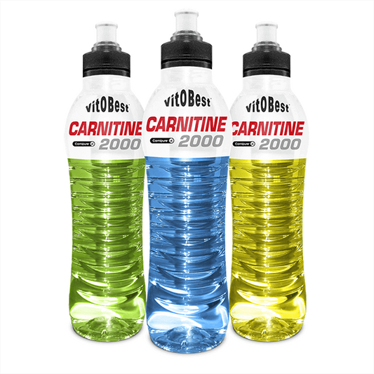 Carnitine 2000 by Vitobest from the brand VitOBest in VitoBest