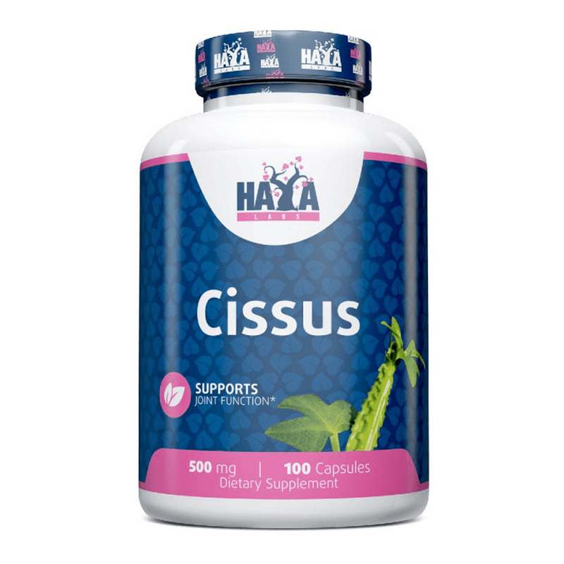 Haya Labs Cissus 500mg - Haya Labs 0