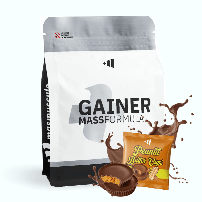 Gainer Mass Formula - Masmusculo Supplements 10
