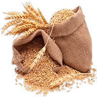 Oats